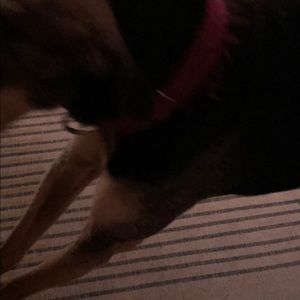 Meet your Posher, Jonathan